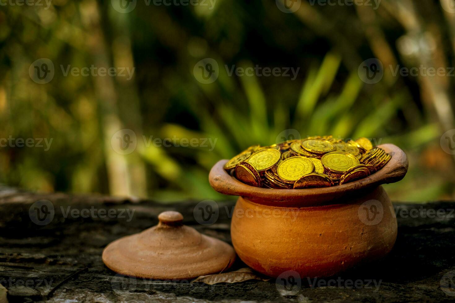 Coins in jar photo