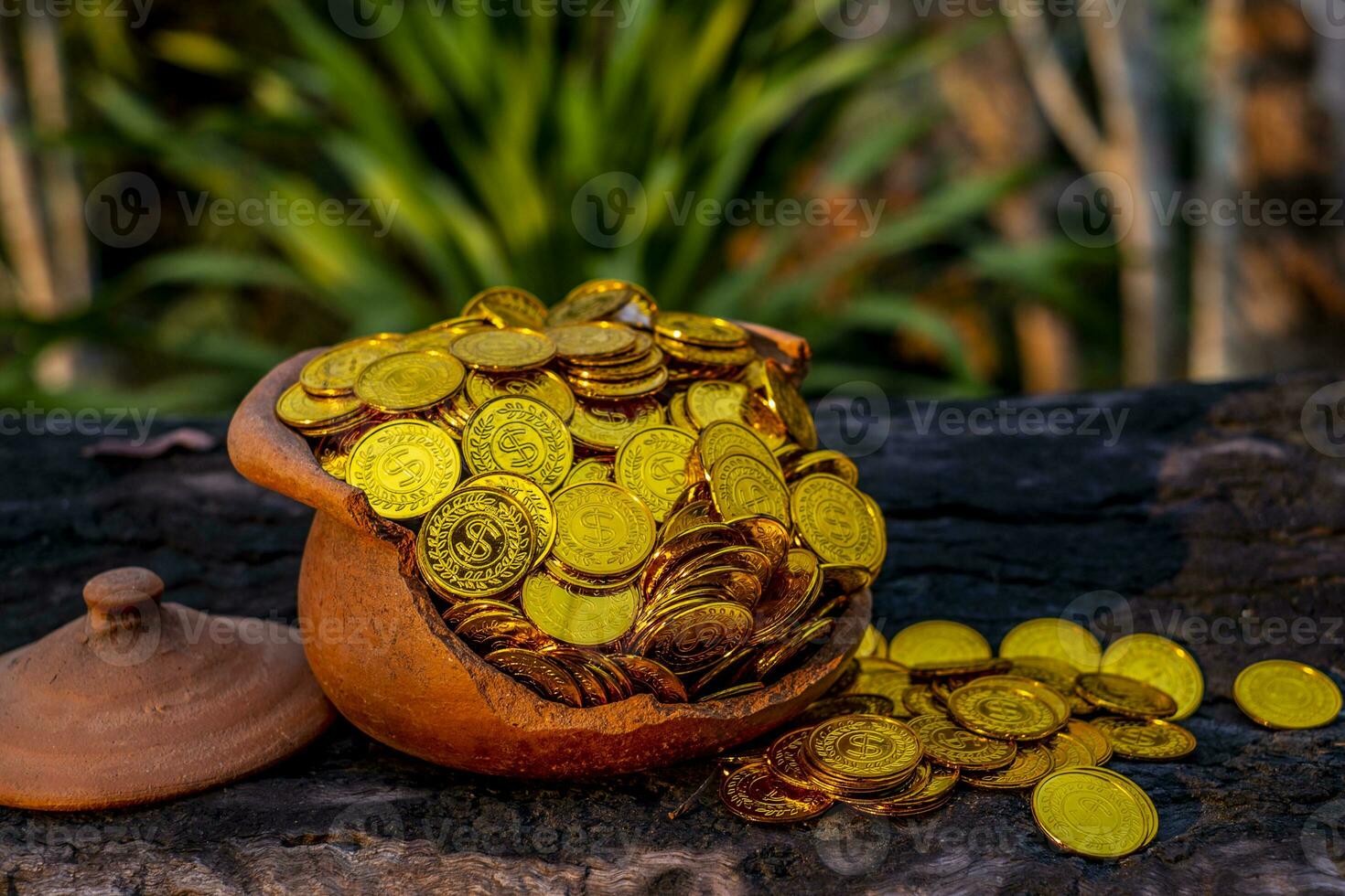 Gold coin in broken treasure jar photo