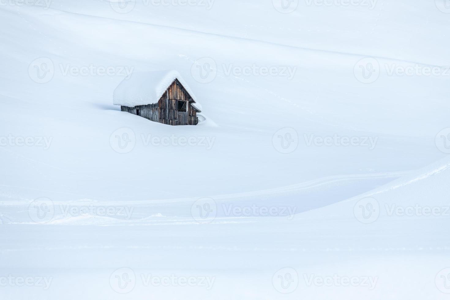 After the snowfall. Last lights of the twilight in Sappada. Magic of the Dolomites photo