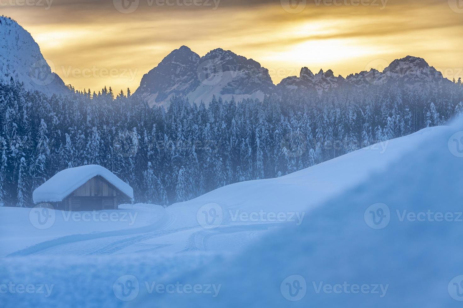 After the snowfall. Last lights of the twilight in Sappada. Magic of the Dolomites photo