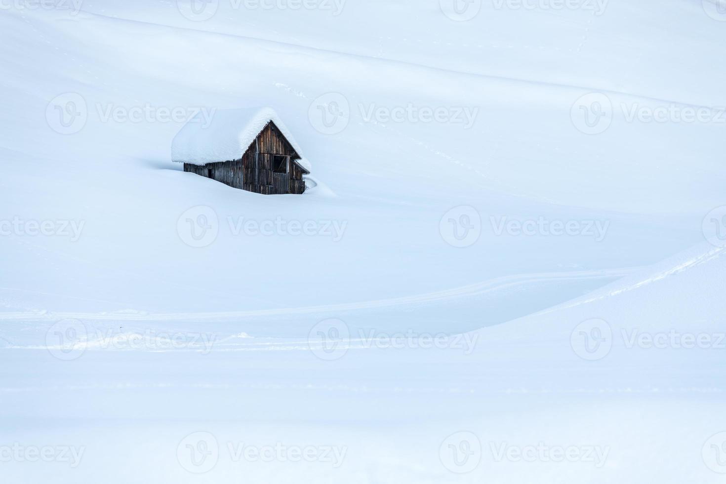 After the snowfall. Last lights of the twilight in Sappada. Magic of the Dolomites photo