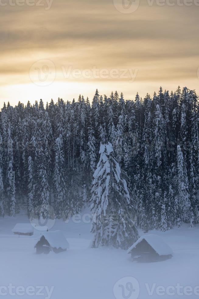 After the snowfall. Last lights of the twilight in Sappada. Magic of the Dolomites photo