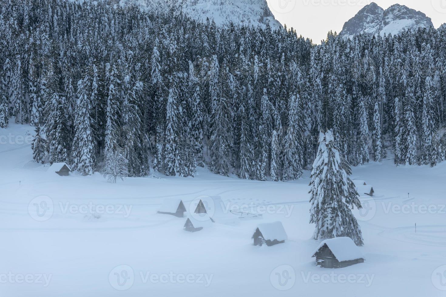 después de la nevada. Últimas luces del crepúsculo en sappada. magia de los dolomitas foto