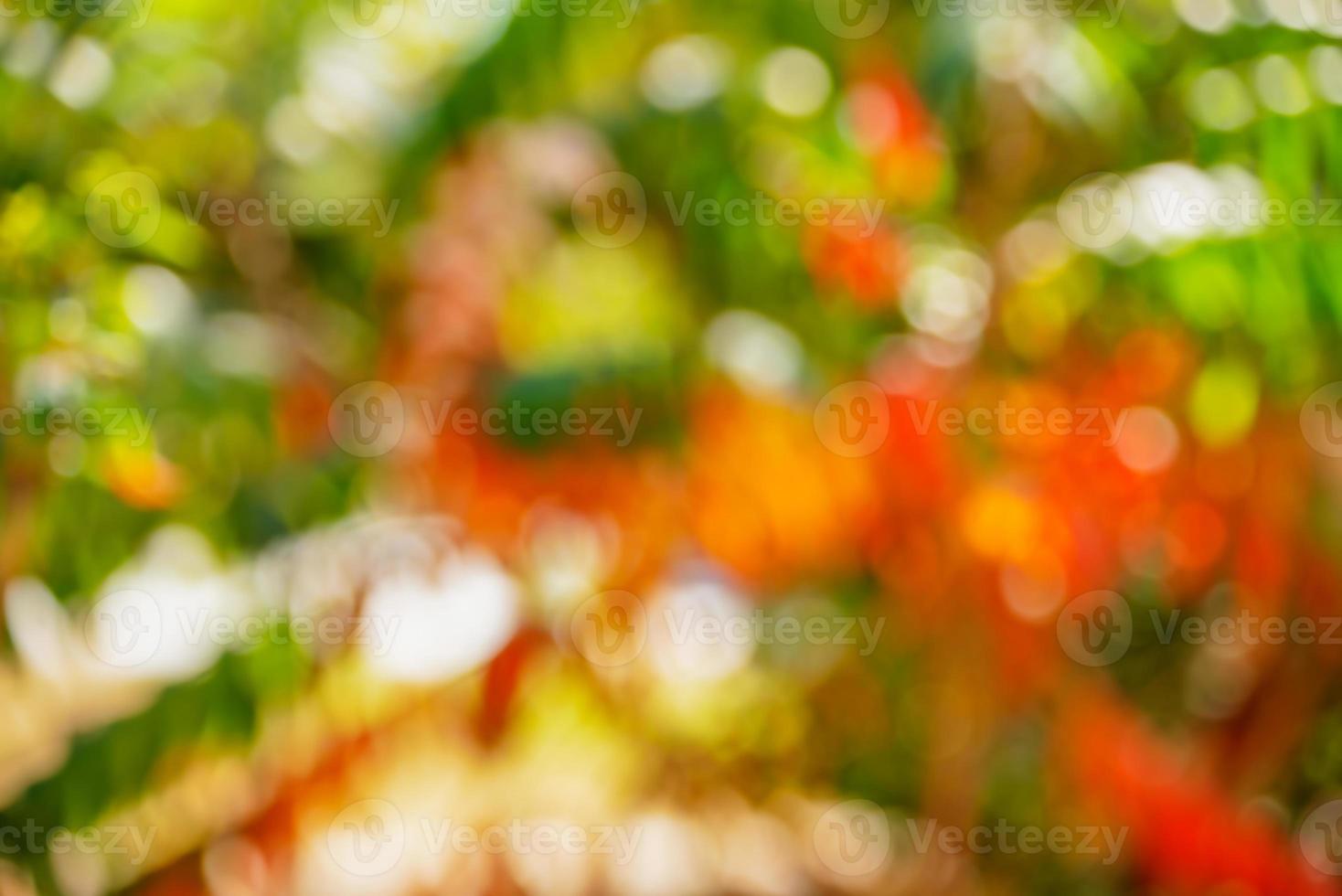 Autumn blurred background photo