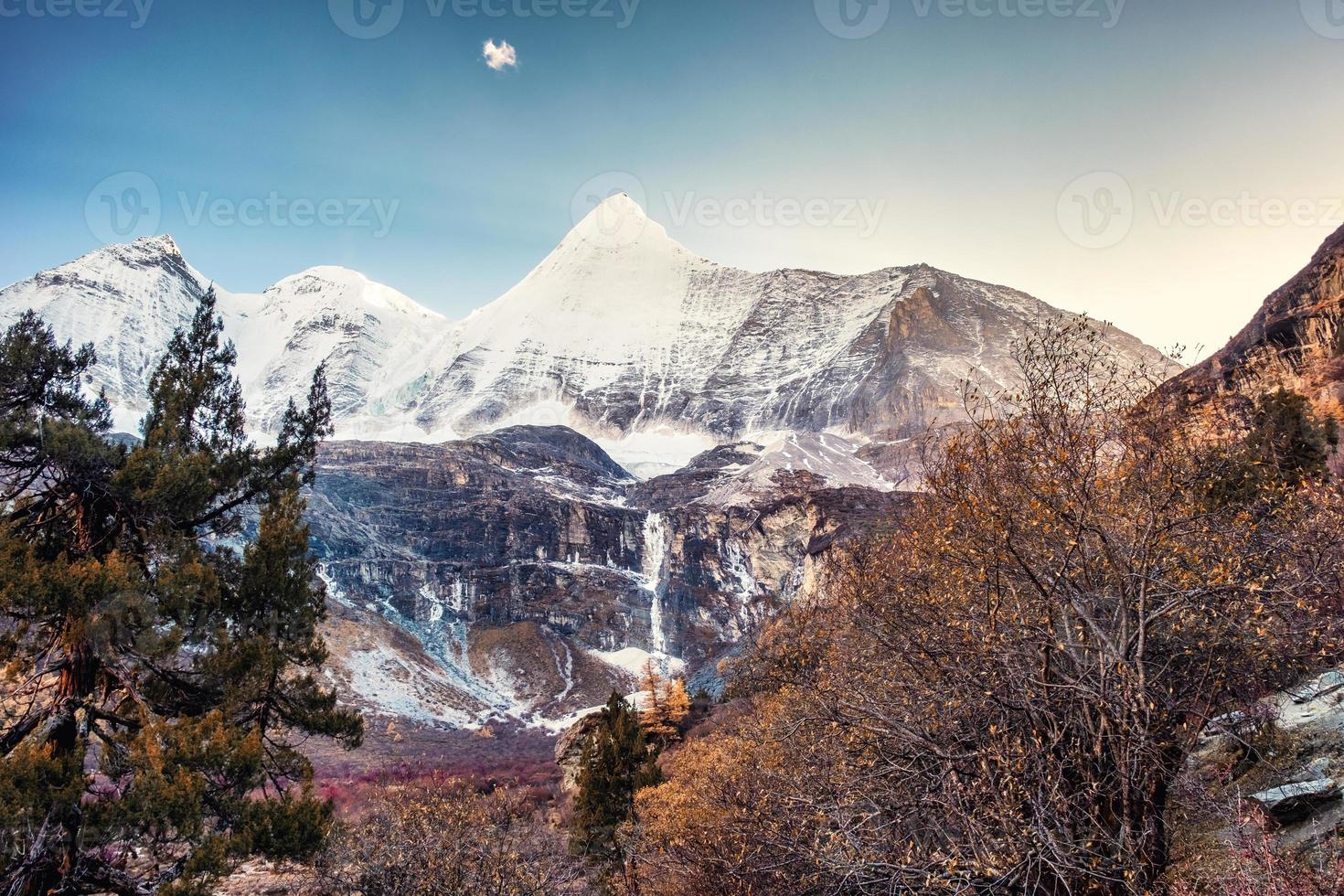 montaña sagrada yangmaiyong con bosque de pinos de otoño en la meseta en yading foto