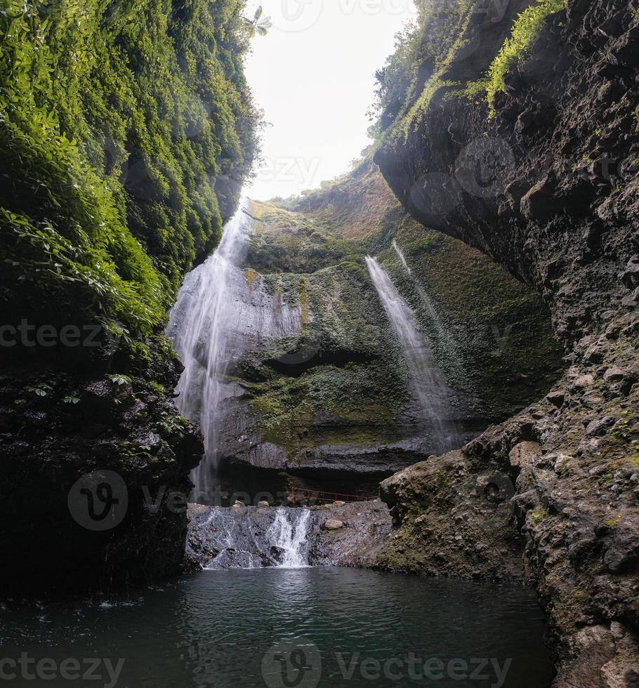 Cascada de Madakaripura que fluye sobre el valle rocoso con plantas en el parque nacional foto