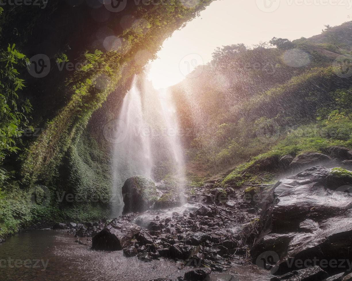 Cascada de Madakaripura que fluye sobre el valle rocoso con plantas en el parque nacional foto
