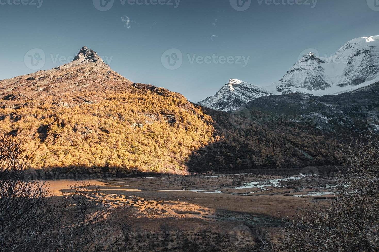 Holy mountain with blue sky in pine forest on autumn at Yading nature reserve photo