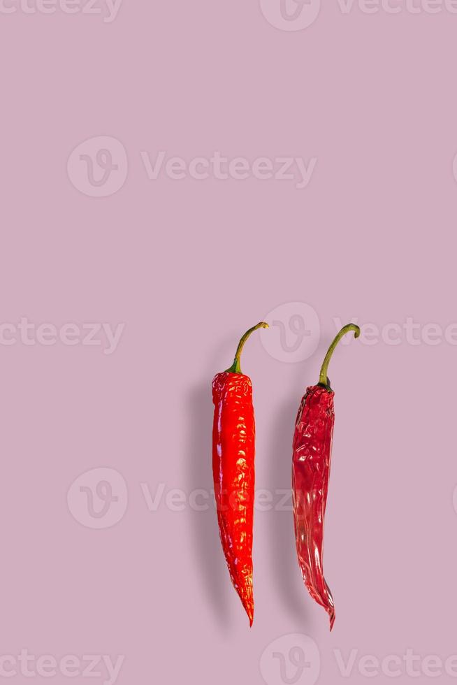 Cover page with a pair red and hot pepperoni paprika chili, one fresh another is old and dried displayed with its shadow at pink solid background with copy space for text. photo