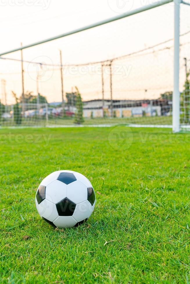 Soccer ball on the ball field photo