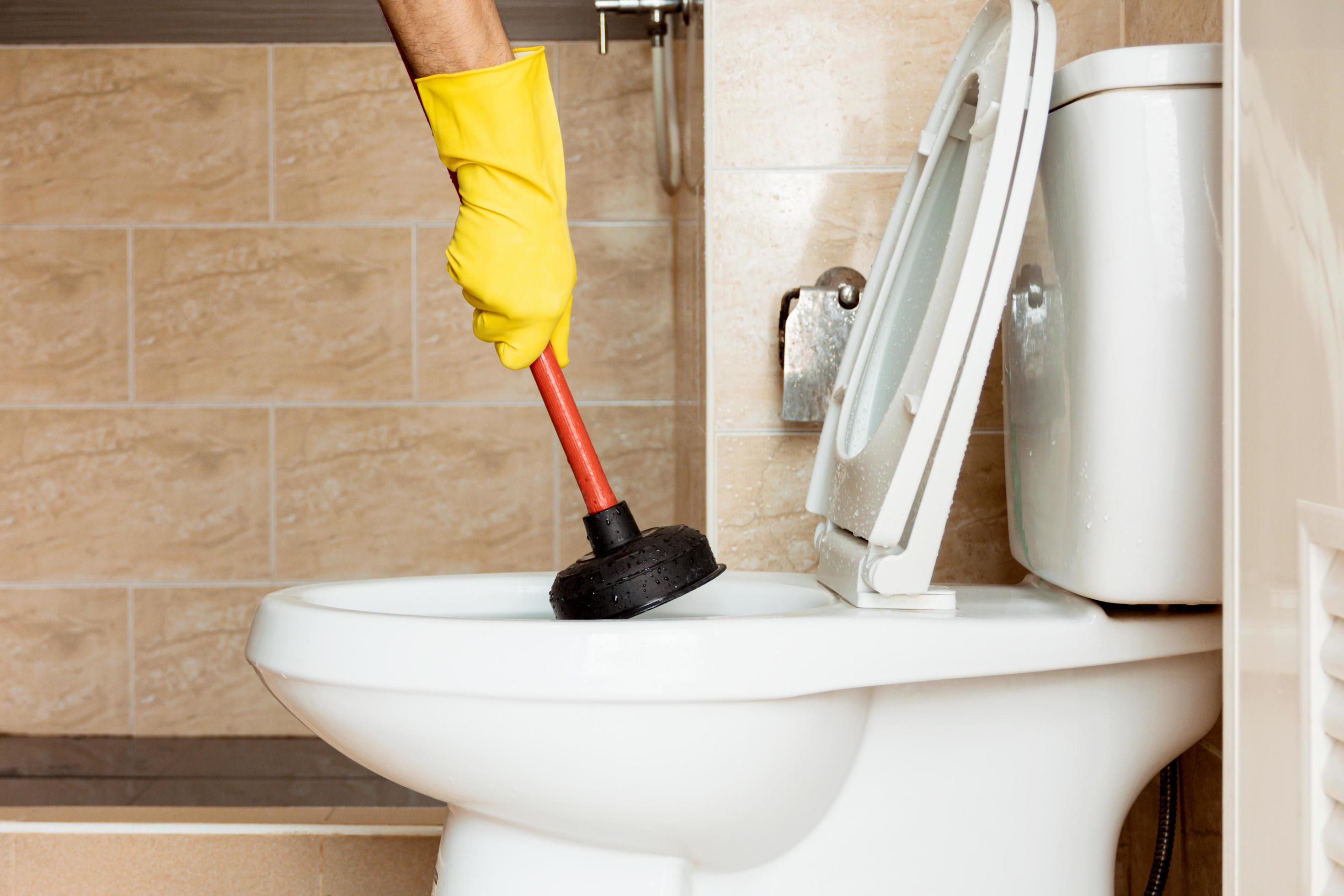 Using a device to fix a clogged toilet bowl. 3557197 Stock Photo at