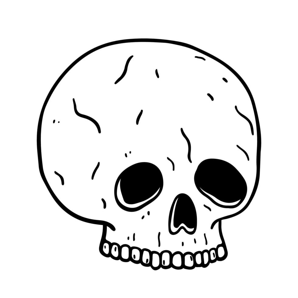Spooky human skull isolated on white background vector