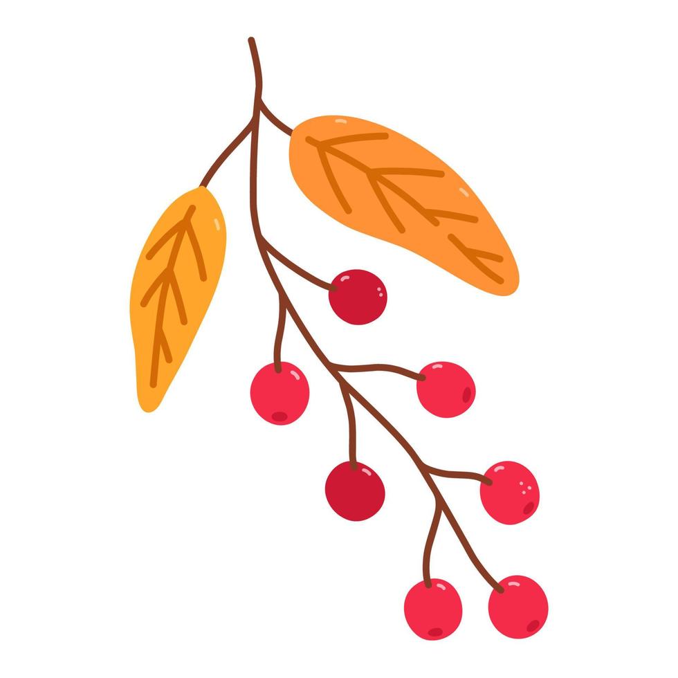 Twig with cranberries and golden leaves isolated on white background. Vector hand-drawn illustration in cartoon flat style. Perfect for your project, cards, logo, decorations.