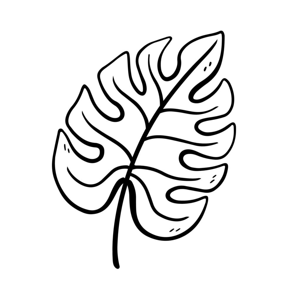 Hoja de monstera aislada sobre fondo blanco. ilustración vectorial dibujada a mano en estilo doodle. perfecto para su proyecto, tarjeta, logo, decoraciones. vector