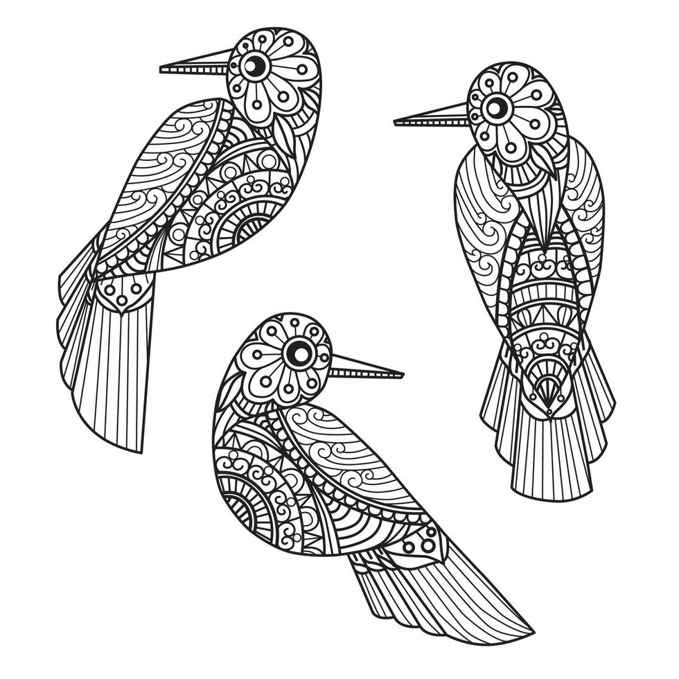 Birds hand drawn for adult coloring book vector