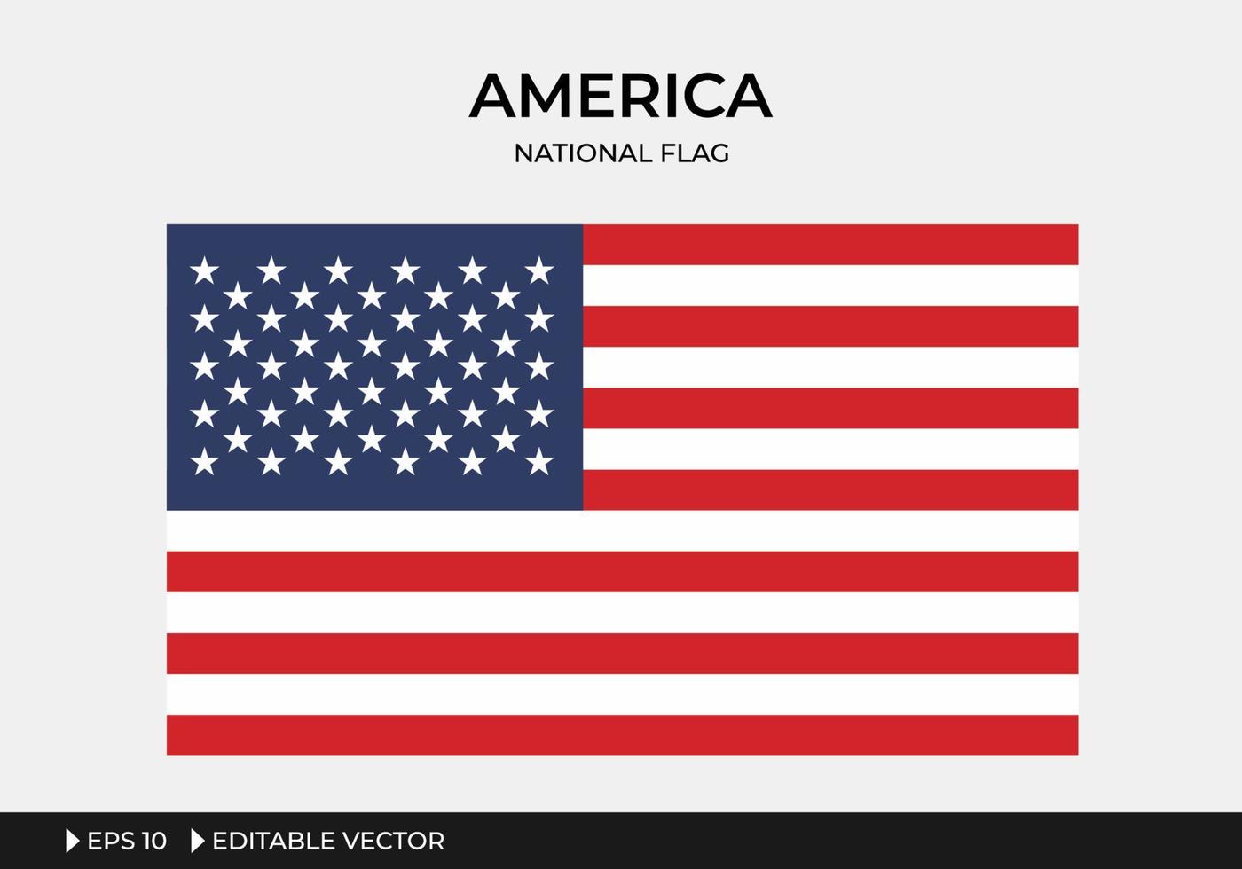 ilustración de la bandera nacional de américa vector