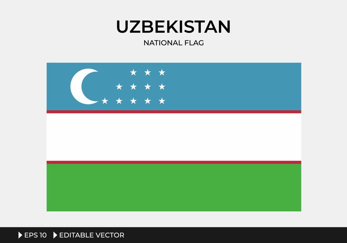 ilustración de la bandera nacional de uzbekistán vector