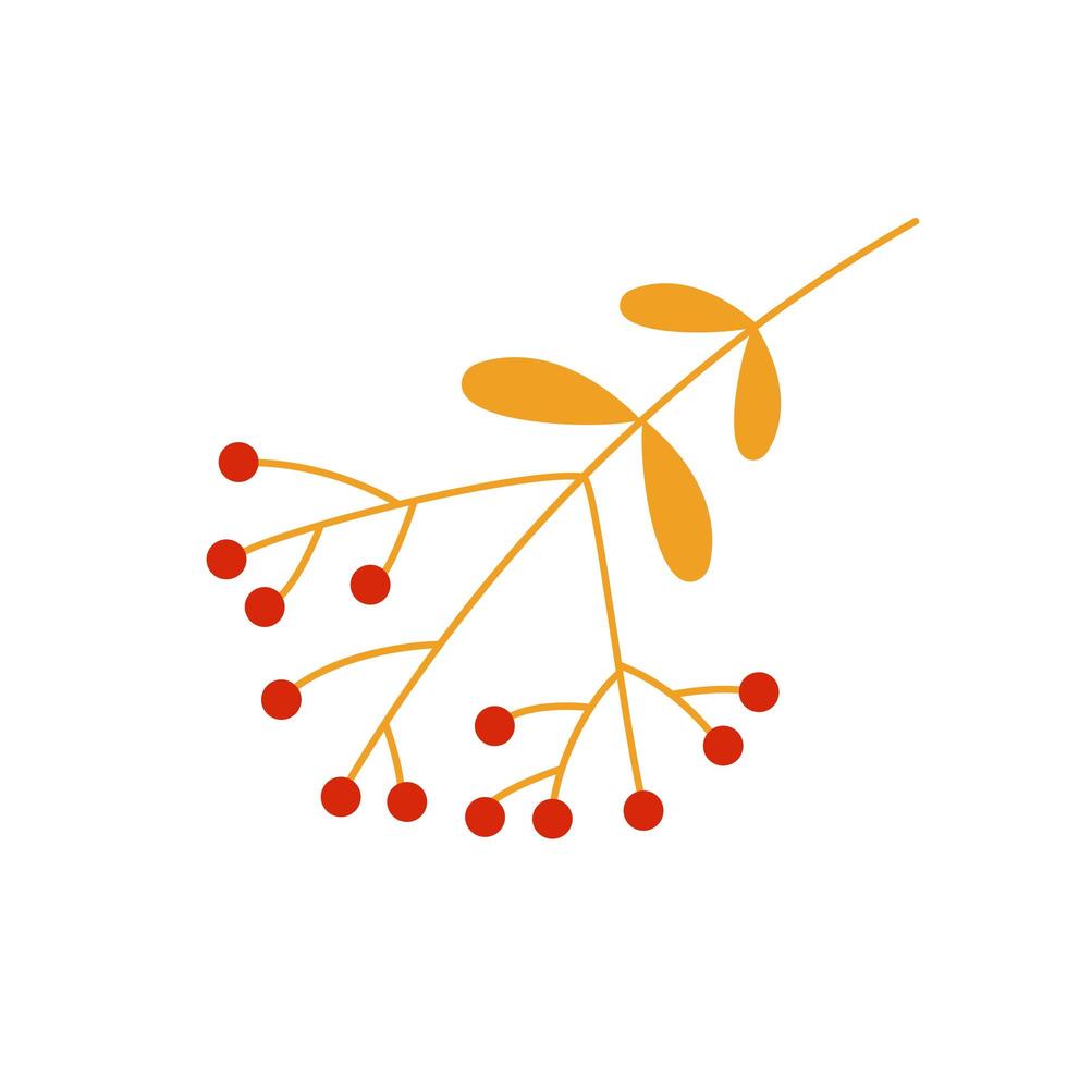 yellow rowan branch with red berries vector