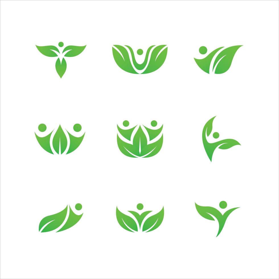 Leaves logo bundle for your business vector