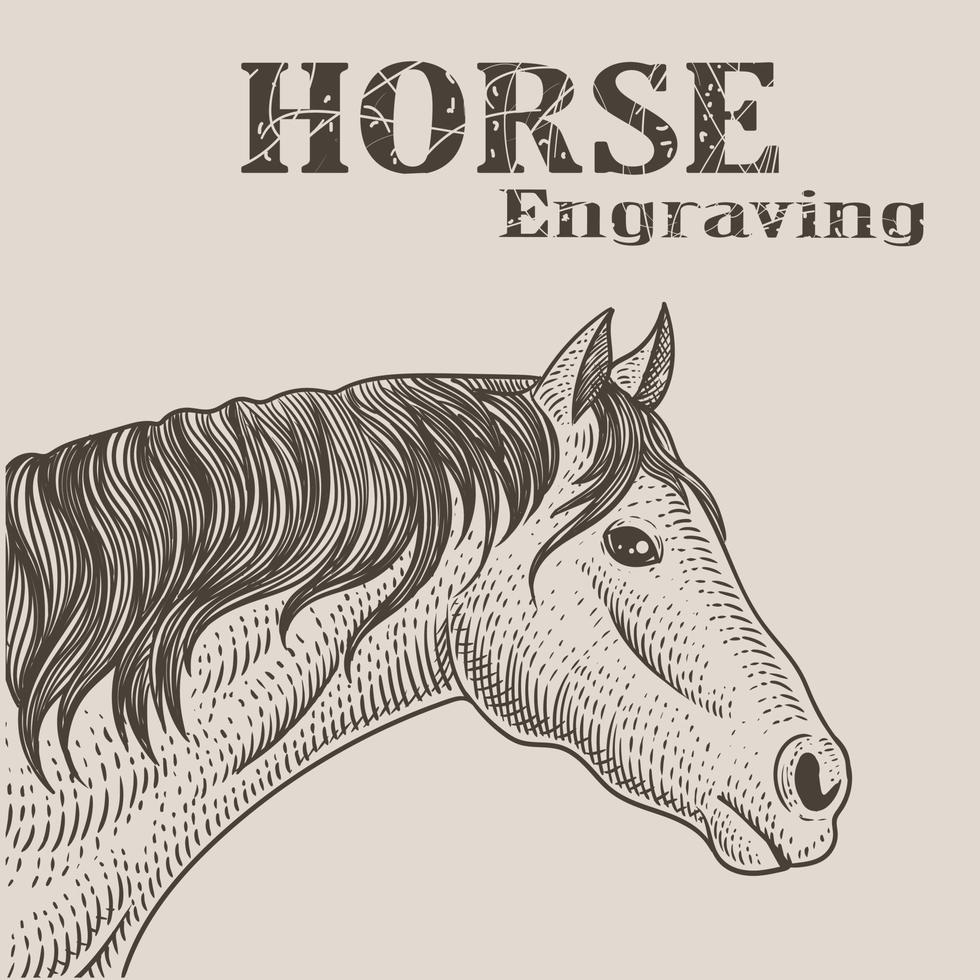 illustration horse head with engraving style vector