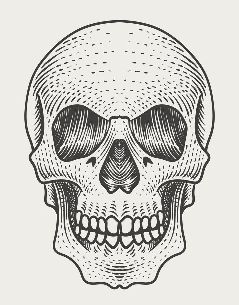illustration skull head with engraving style vector