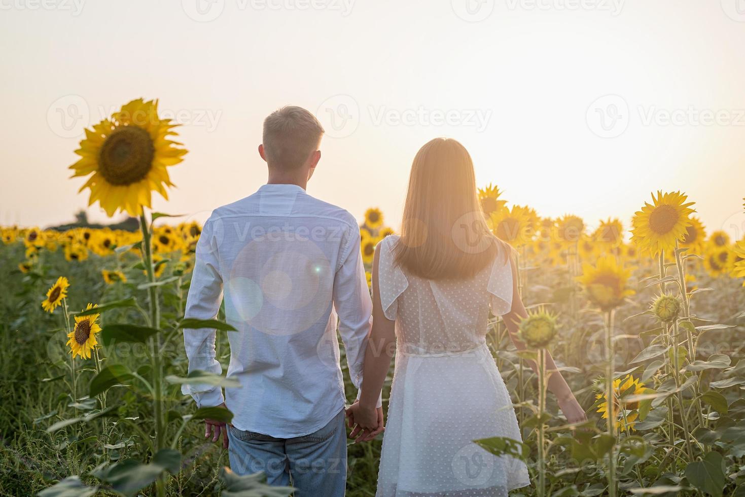 hermosa pareja divirtiéndose en campos de girasoles foto