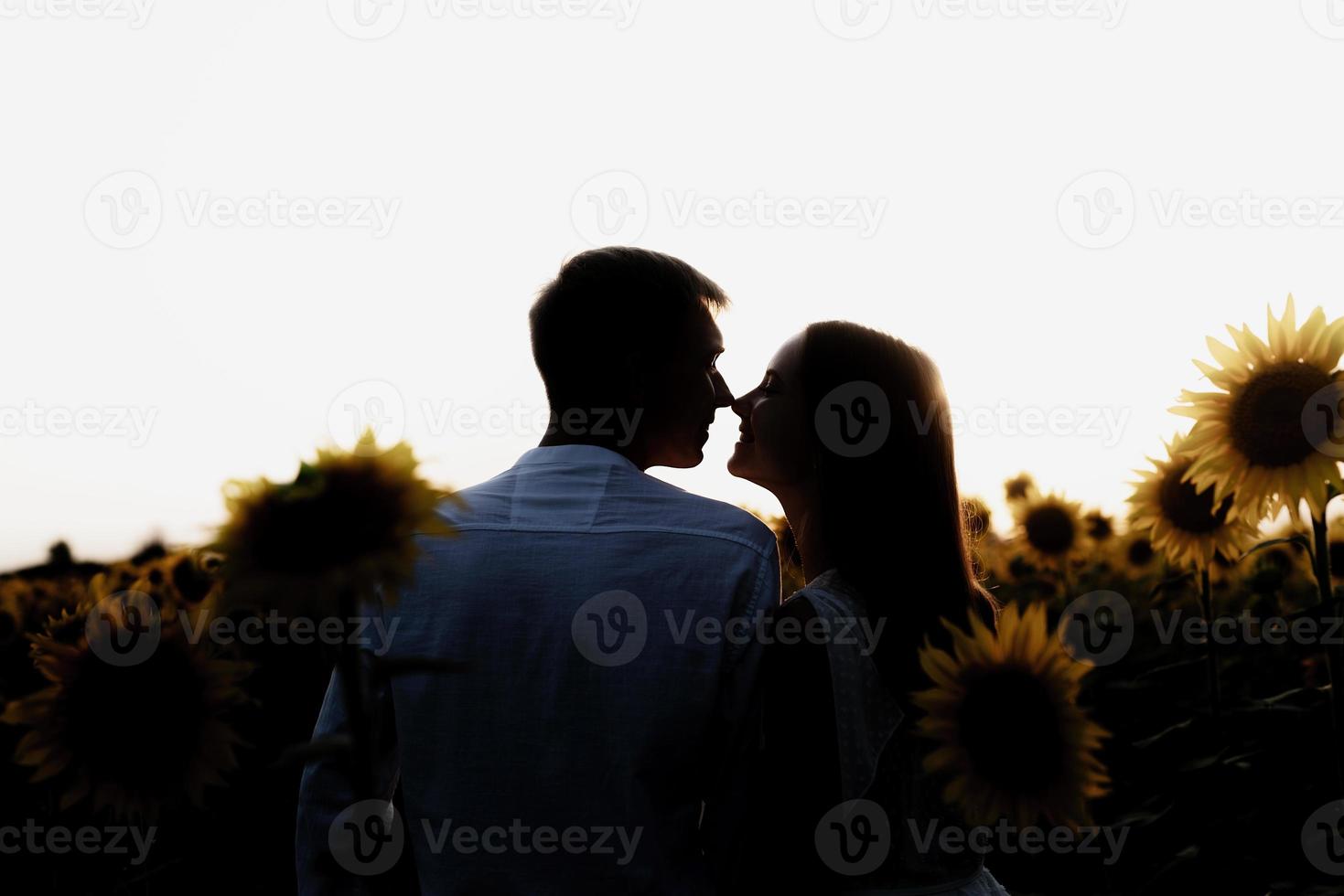 Beautiful couple walking together in sunflowers fields in sunset photo