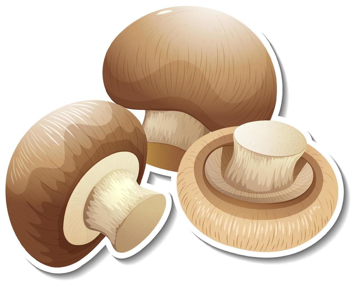 Champignon mushroom sticker on white background vector