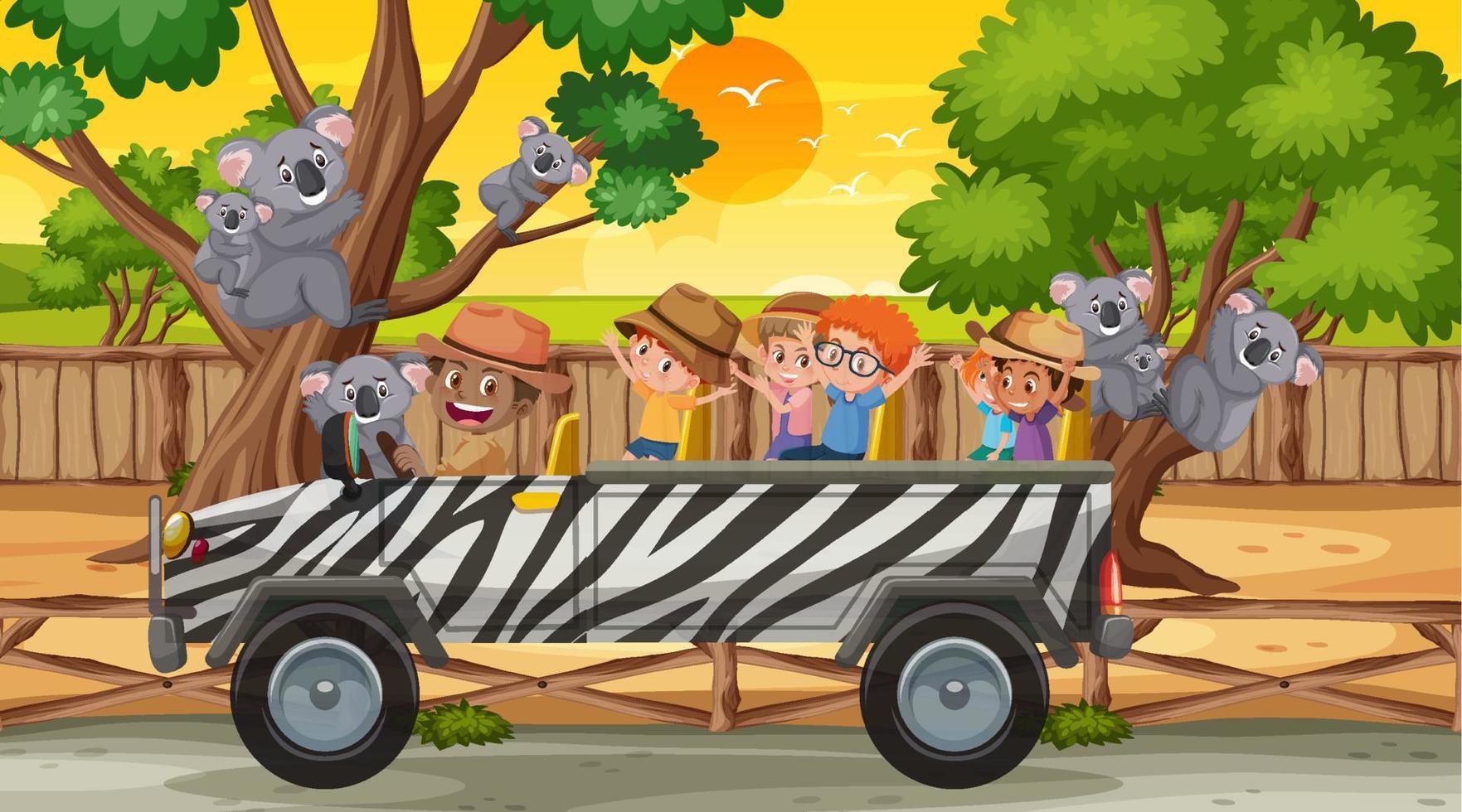 Safari at sunset time scene with many children watching koala group vector