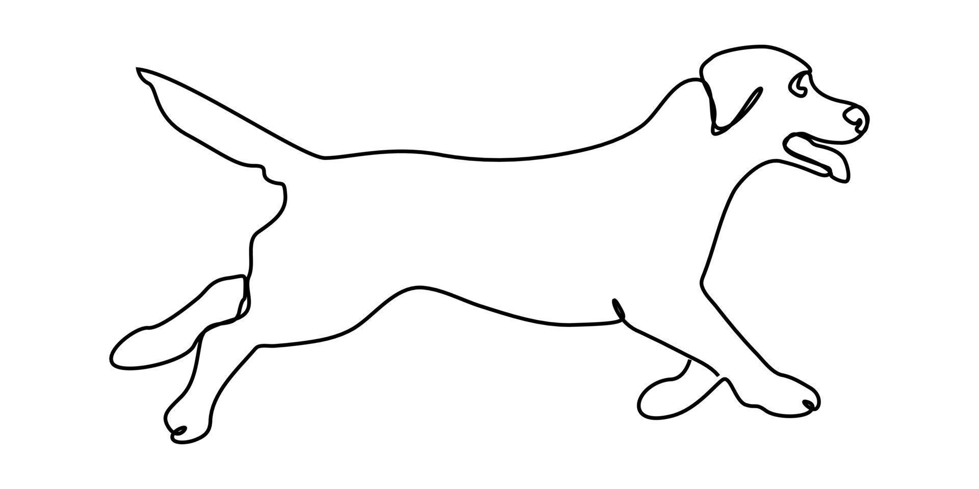 continuous line drawing of cute dog vector