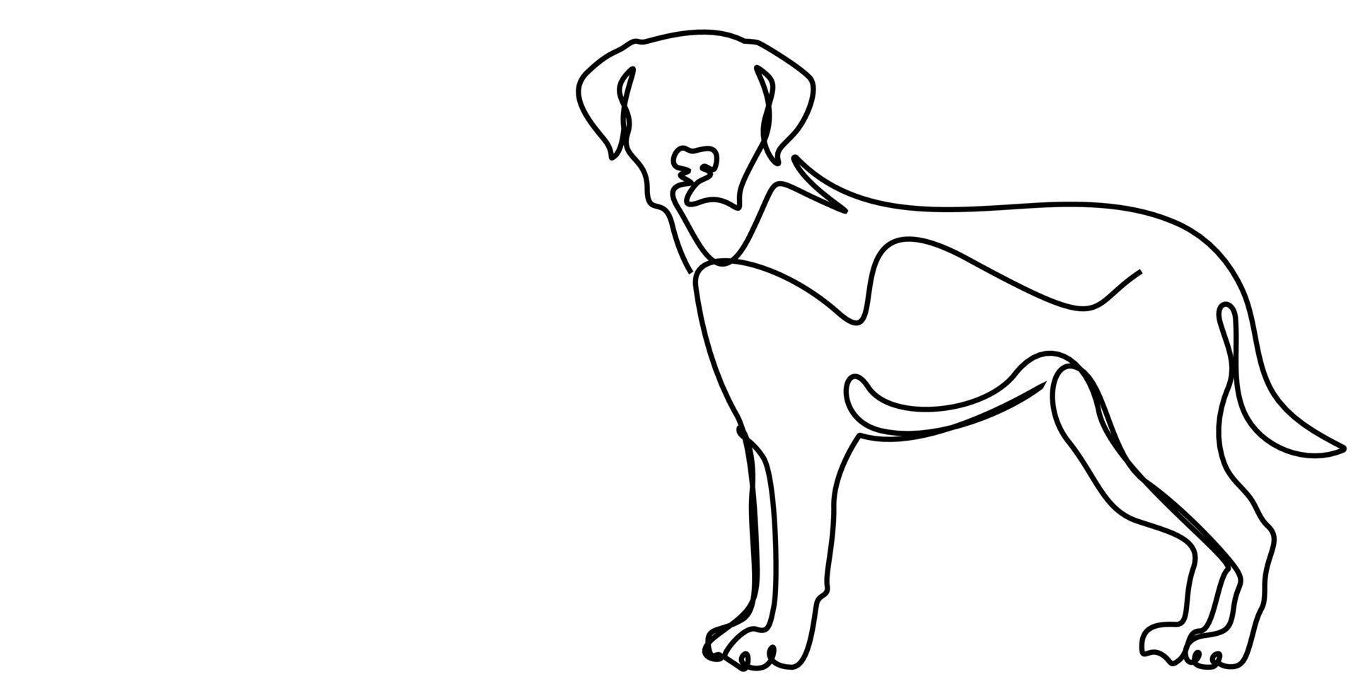 continuous line drawing of cute dog vector