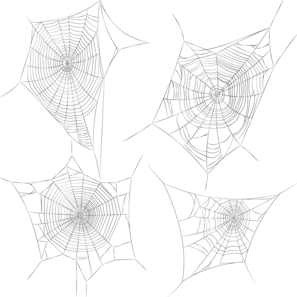 Spider web illustrations vector