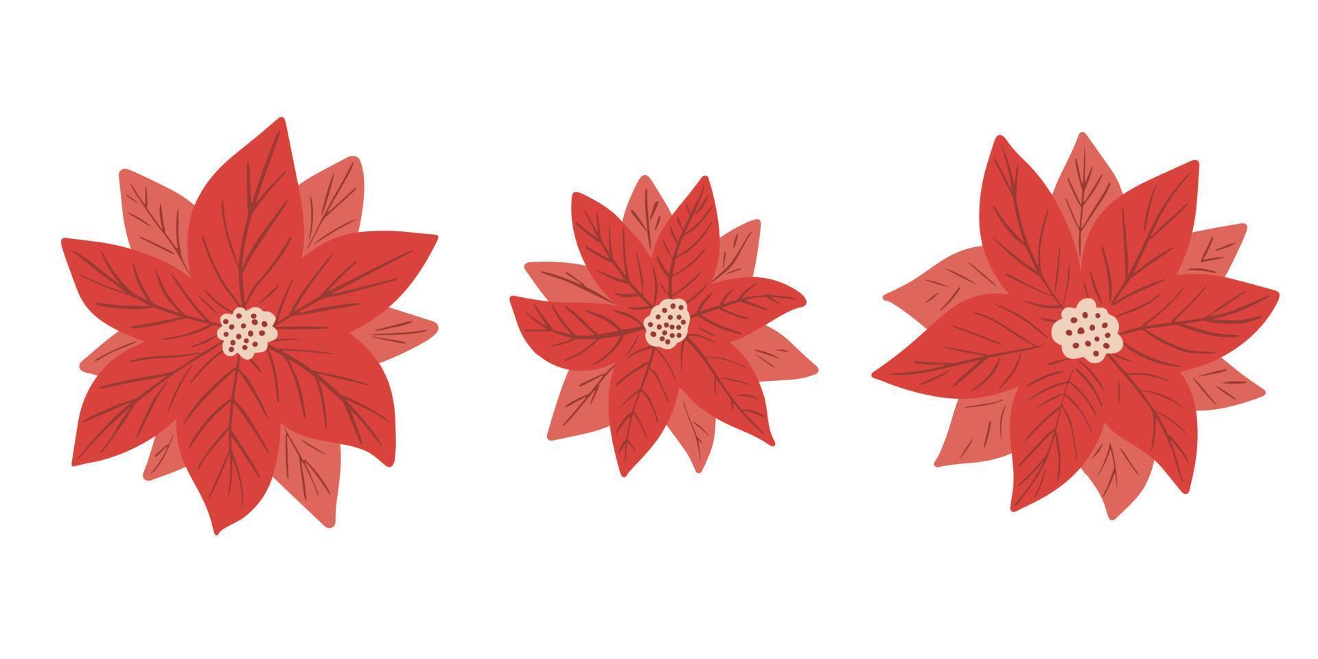 Poinsettia - Christmas star - flower vector collection in simple hand drawn style isolated on white background. Clip art, elements for winter festive design, floral wreath, invitation, poster