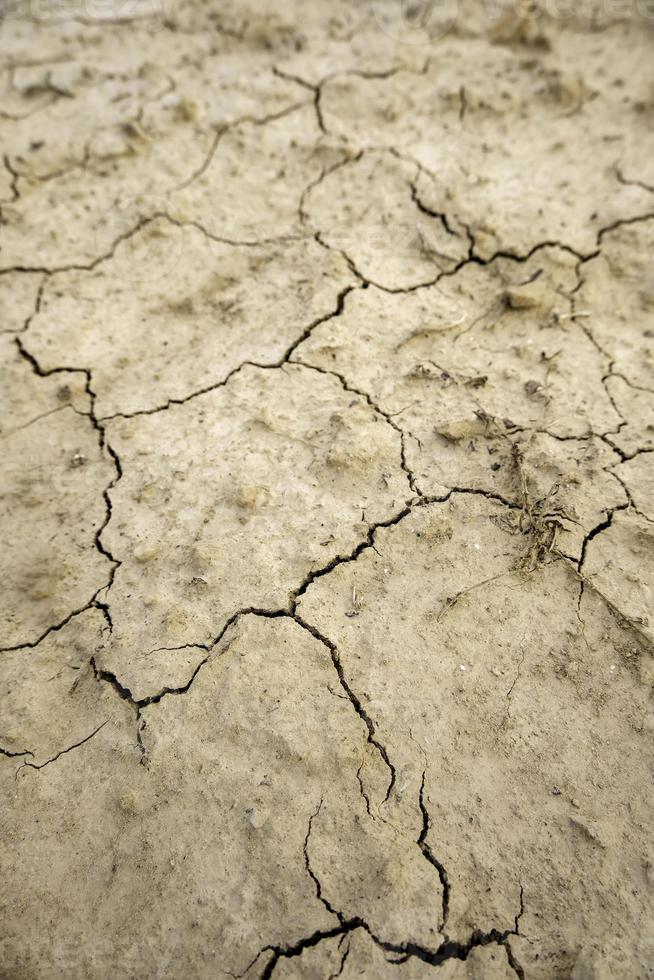 Dry and cracked earth photo