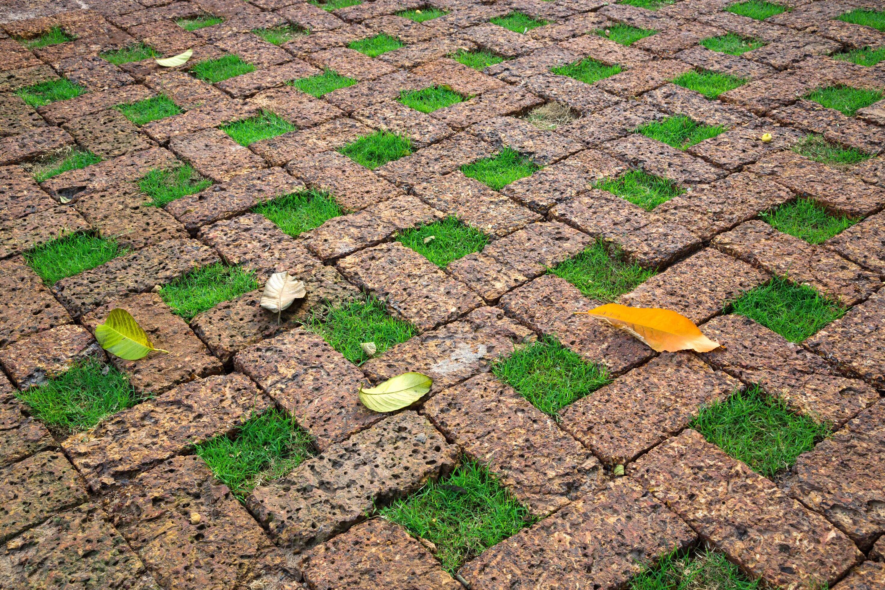 Decorate the lawn floor with brick. 3561571 Stock Photo at Vecteezy