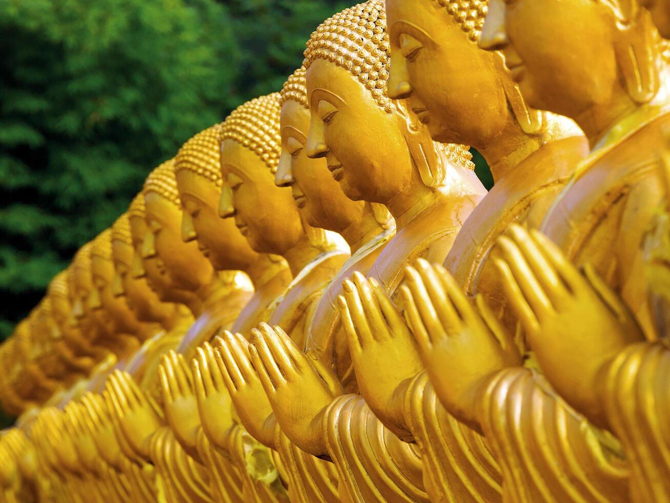 filas de estatuas de buda en el templo, tailandia. foto
