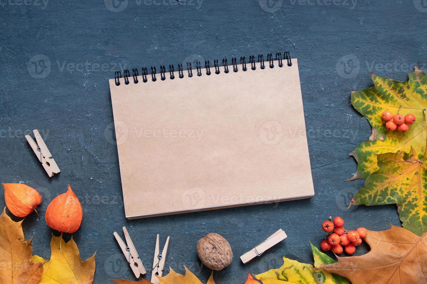 Flat lay autumn orange leaves blank notepad and physalis on a dark background photo