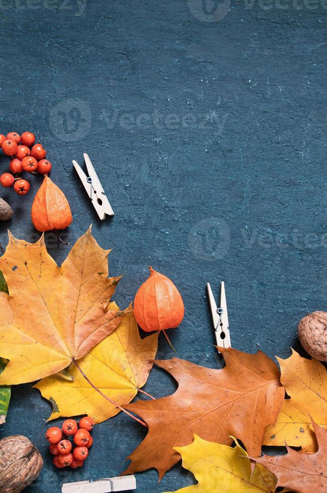 Flat lay autumn orange leaves and physalis on a dark background photo