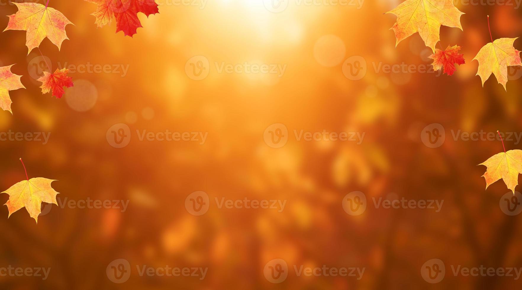 Red-orange maple leaves frame of autumn nature background with bokeh in the forest photo