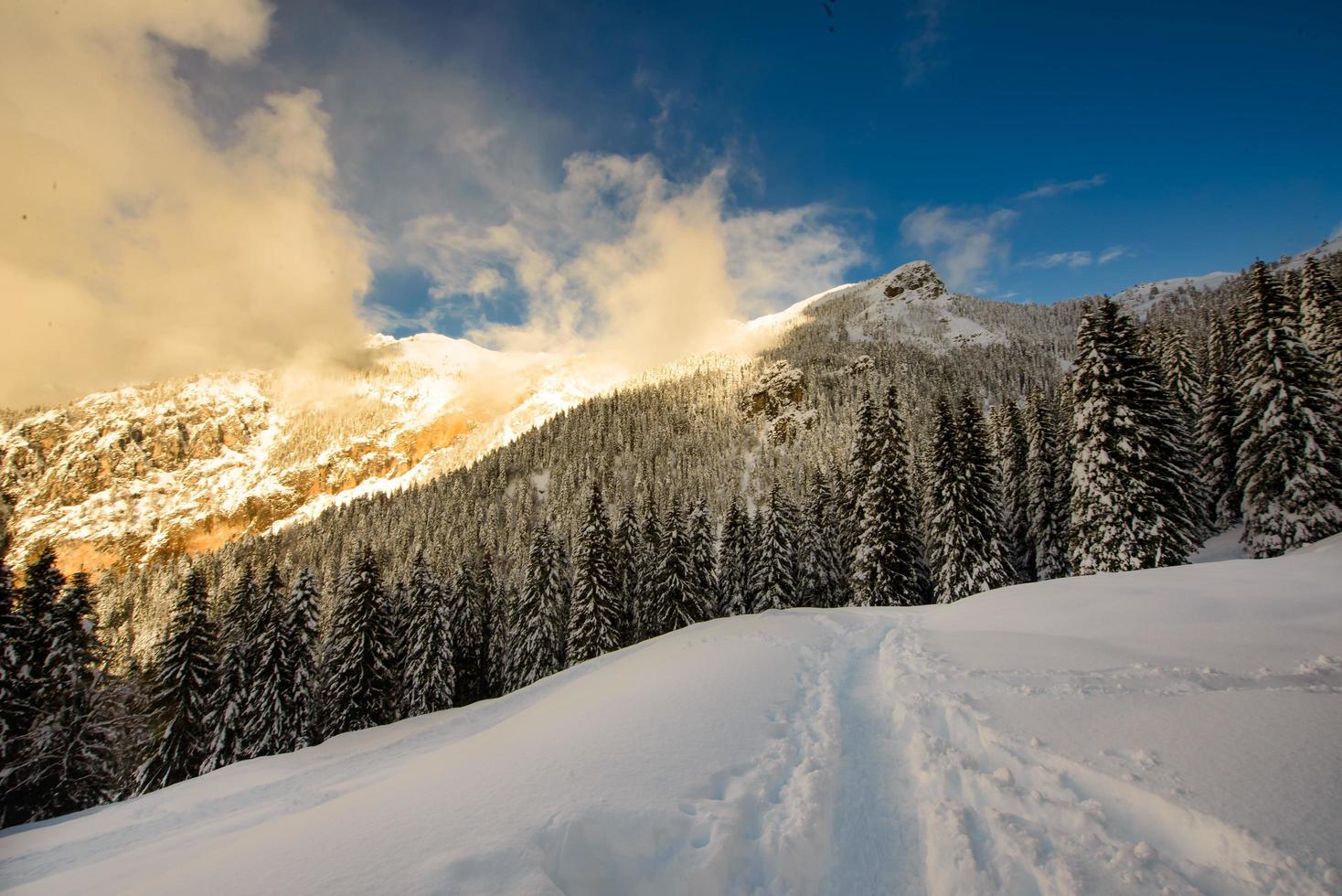 Contrasts of sunset lights in winter landscape by snow in the mountains photo