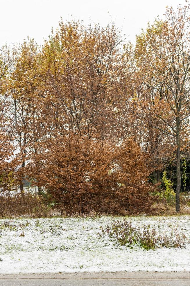 First snow on the hill towns. Between autumn and winter photo