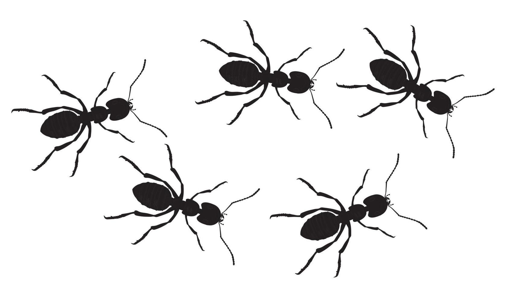 A line of worker ants marching in search of food. Vector banner