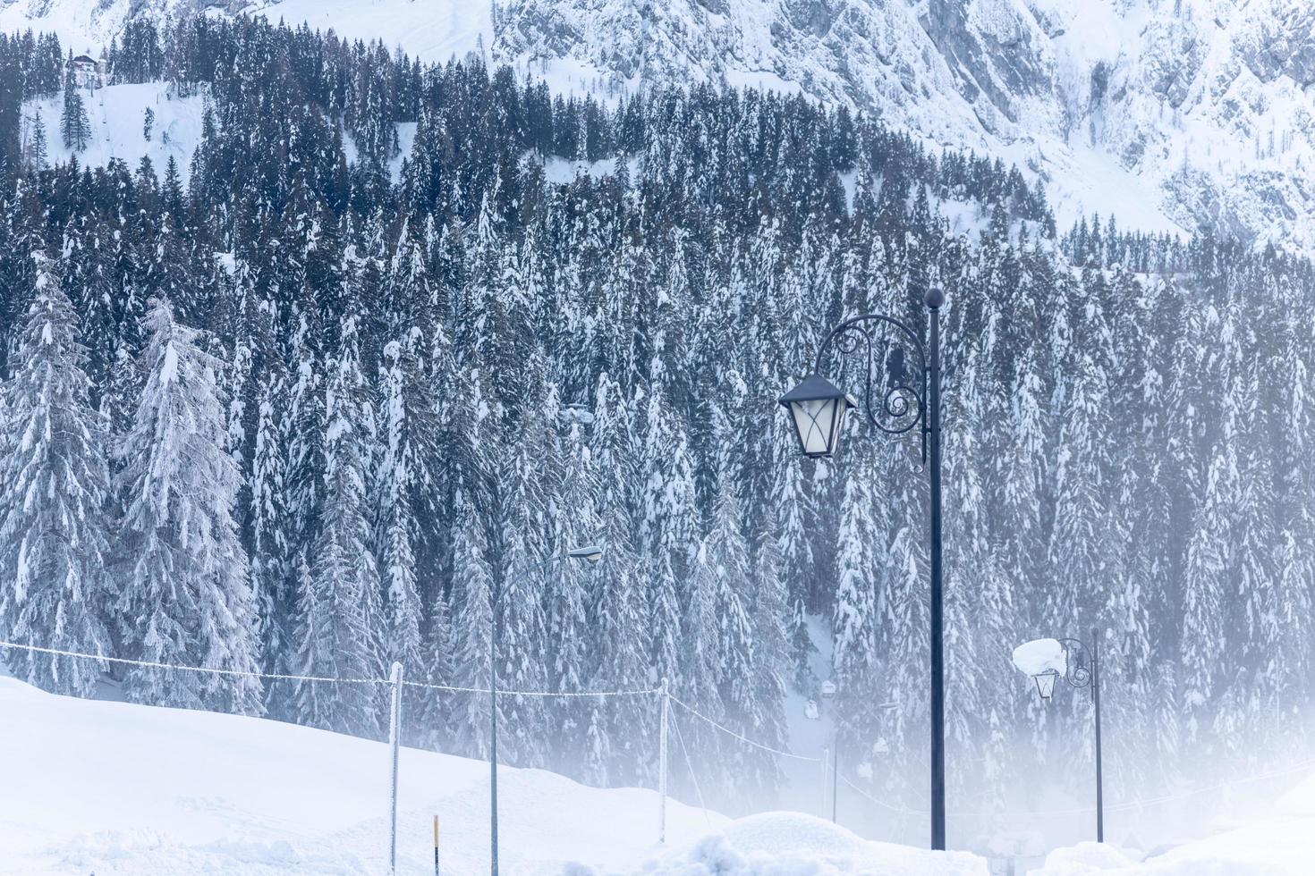 After the snowfall. Last lights of the twilight in Sappada. Magic of the Dolomites photo