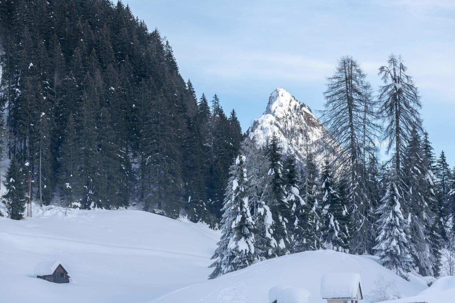 After the snowfall. Last lights of the twilight in Sappada. Magic of the Dolomites photo