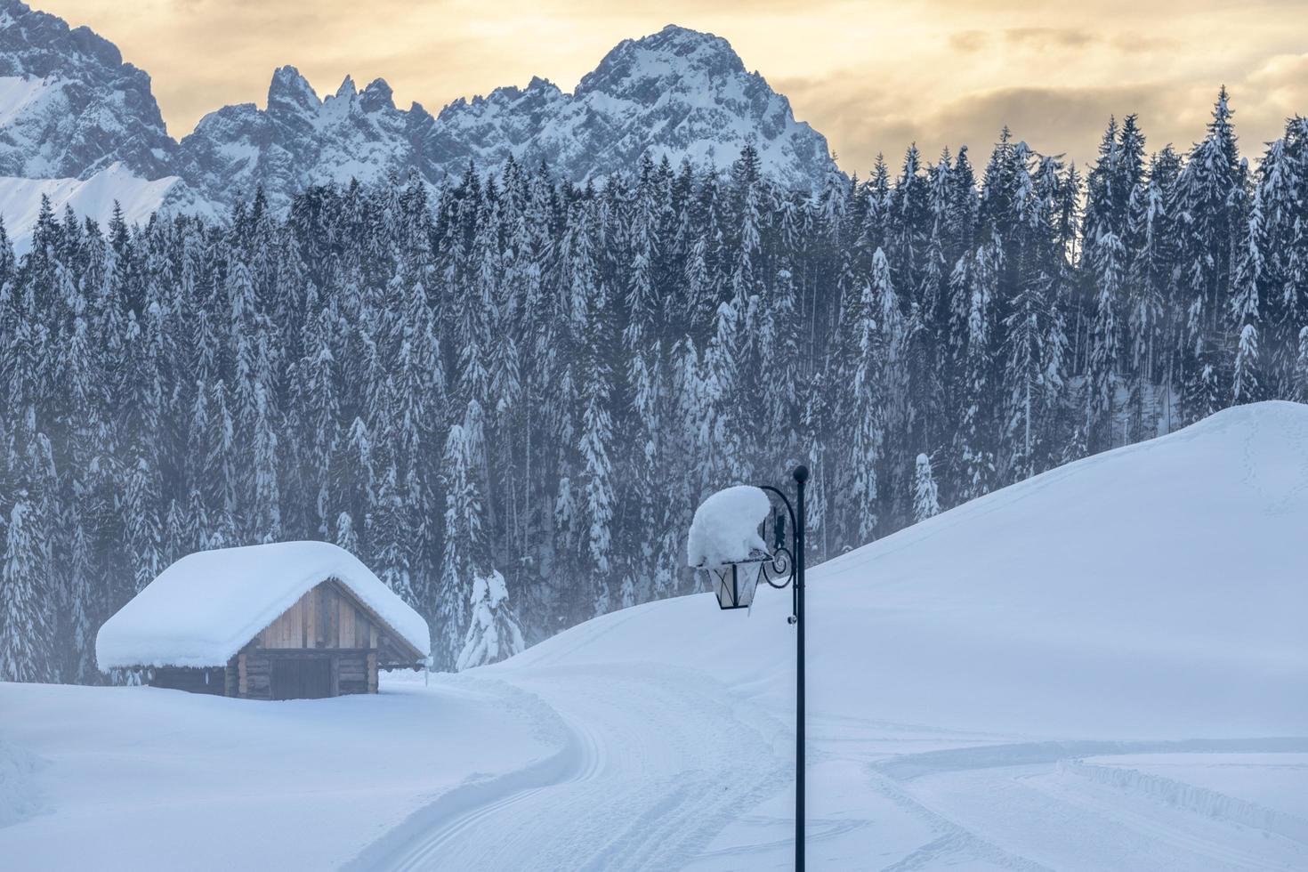 After the snowfall. Last lights of the twilight in Sappada. Magic of the Dolomites photo