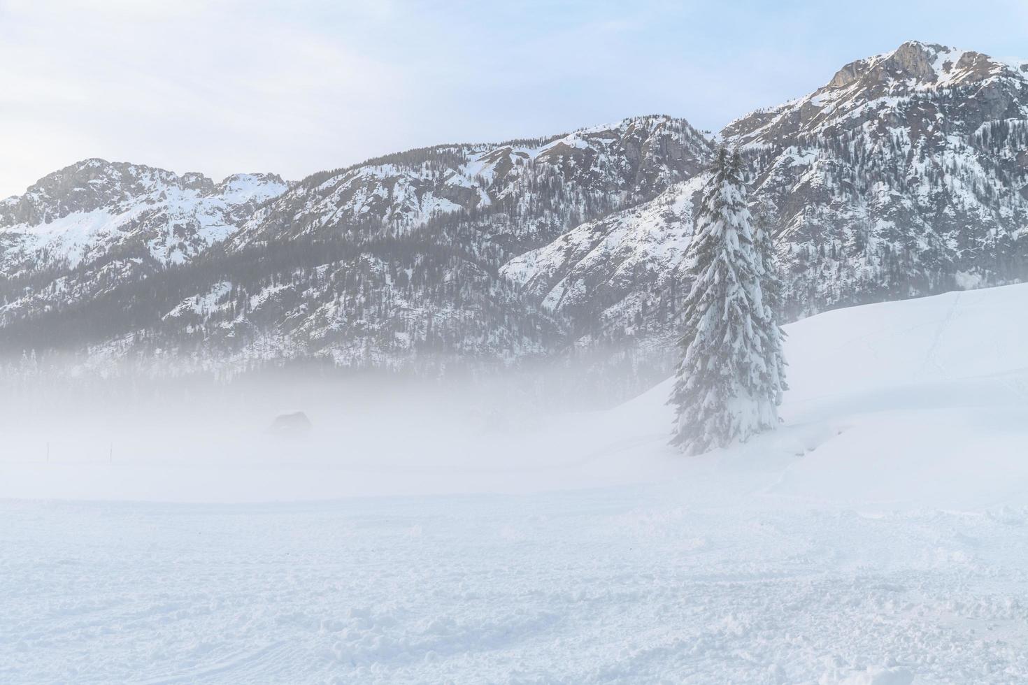 After the snowfall. Last lights of the twilight in Sappada. Magic of the Dolomites photo