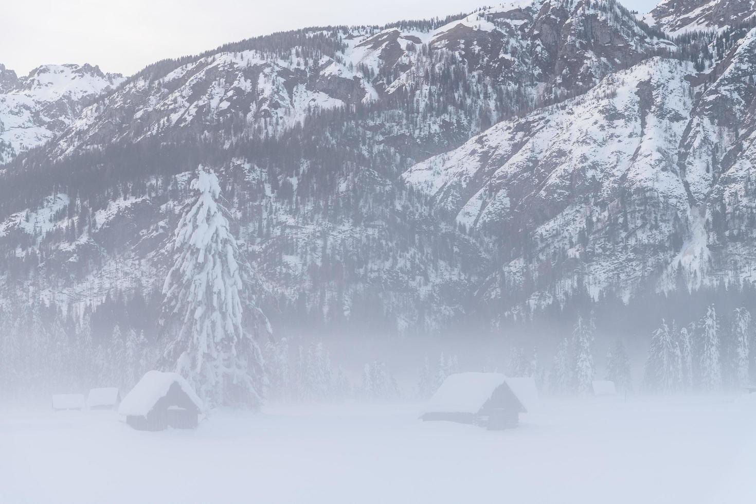 After the snowfall. Last lights of the twilight in Sappada. Magic of the Dolomites photo