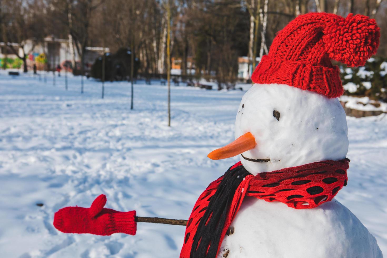 muñeco de nieve aislado en sombrero rojo foto