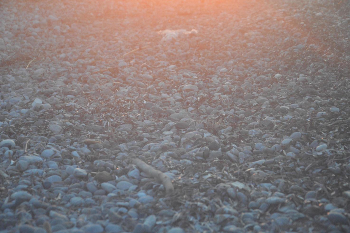 Pebble texture on the Aegean coast in Greece photo