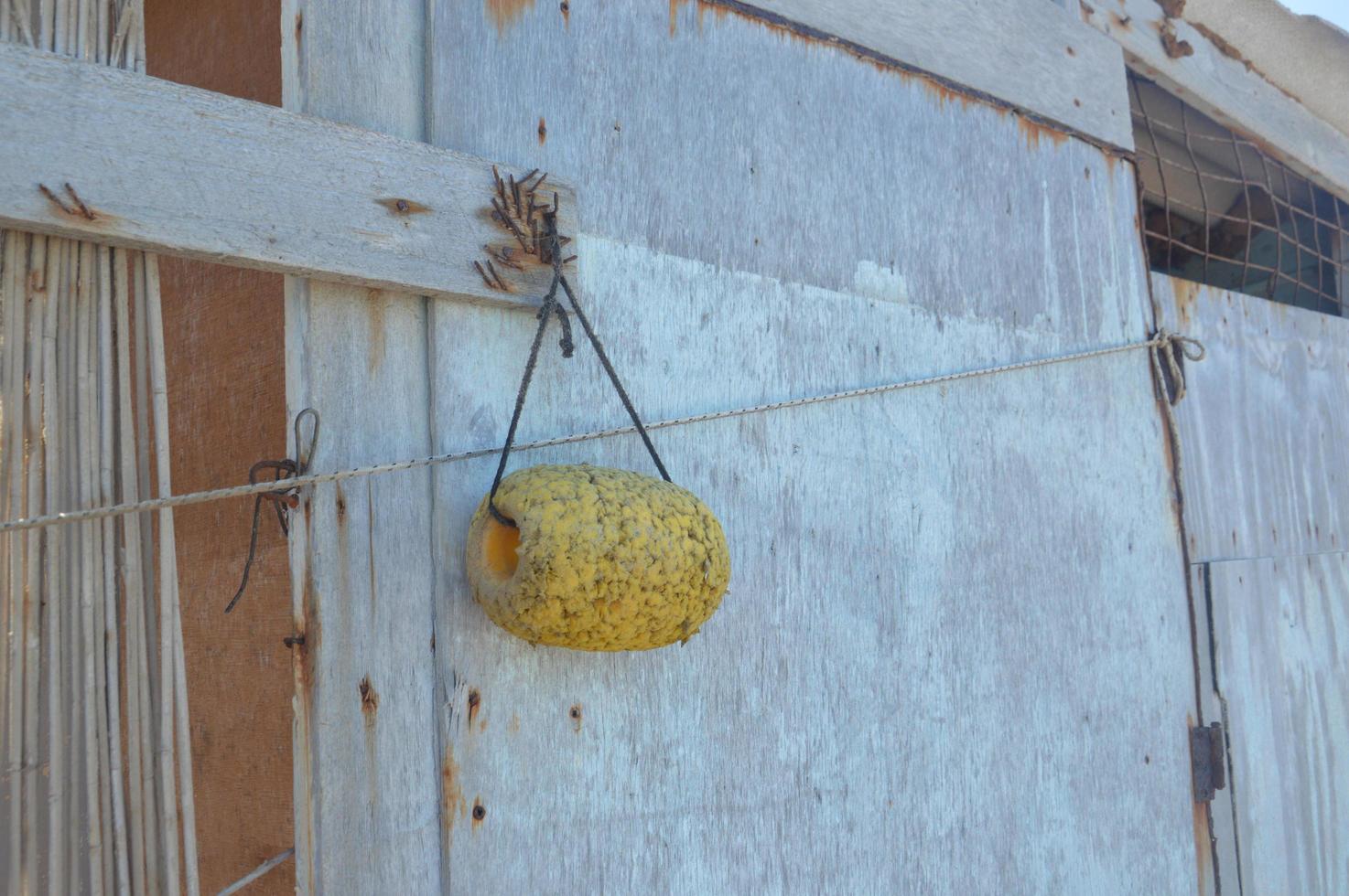 Decorating with marine objects a fisherman's house on the island of Rhodes in Greece photo